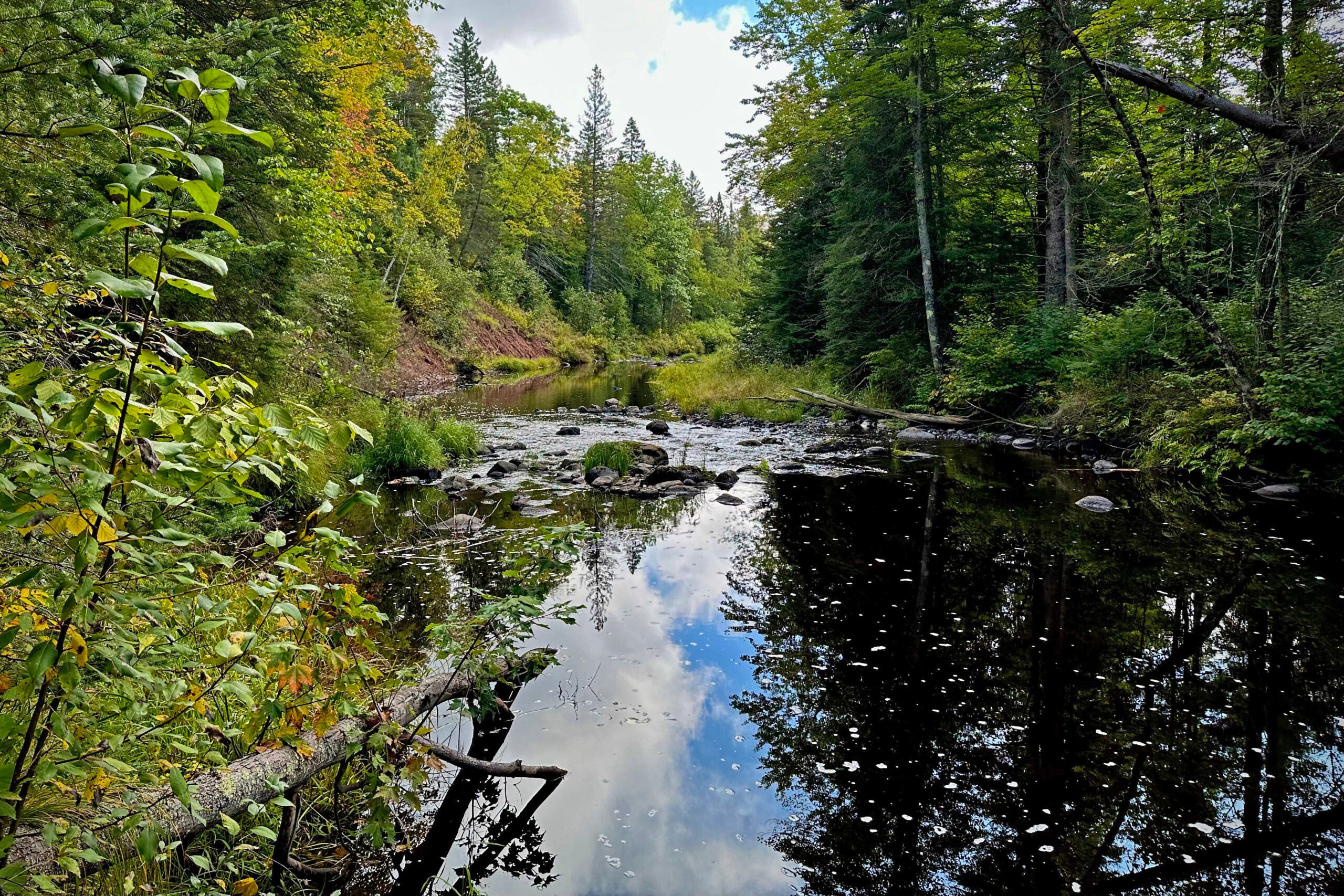 A forested stream with rocks and green trees on both sides is shown, with blue sky and clouds reflected in the water.