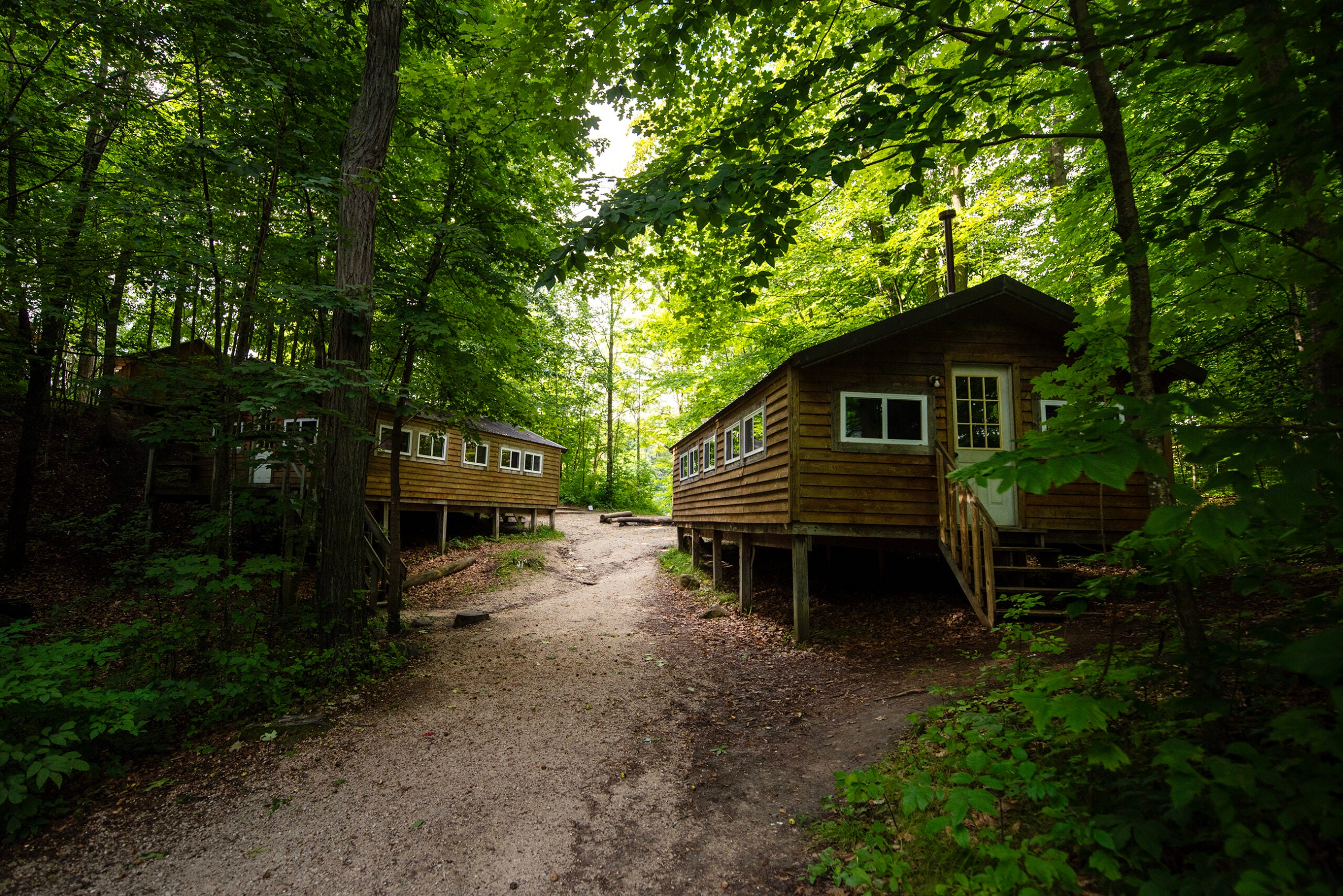 Two wooden cabins are situated among green trees along a dirt path in a forested area under daylight.