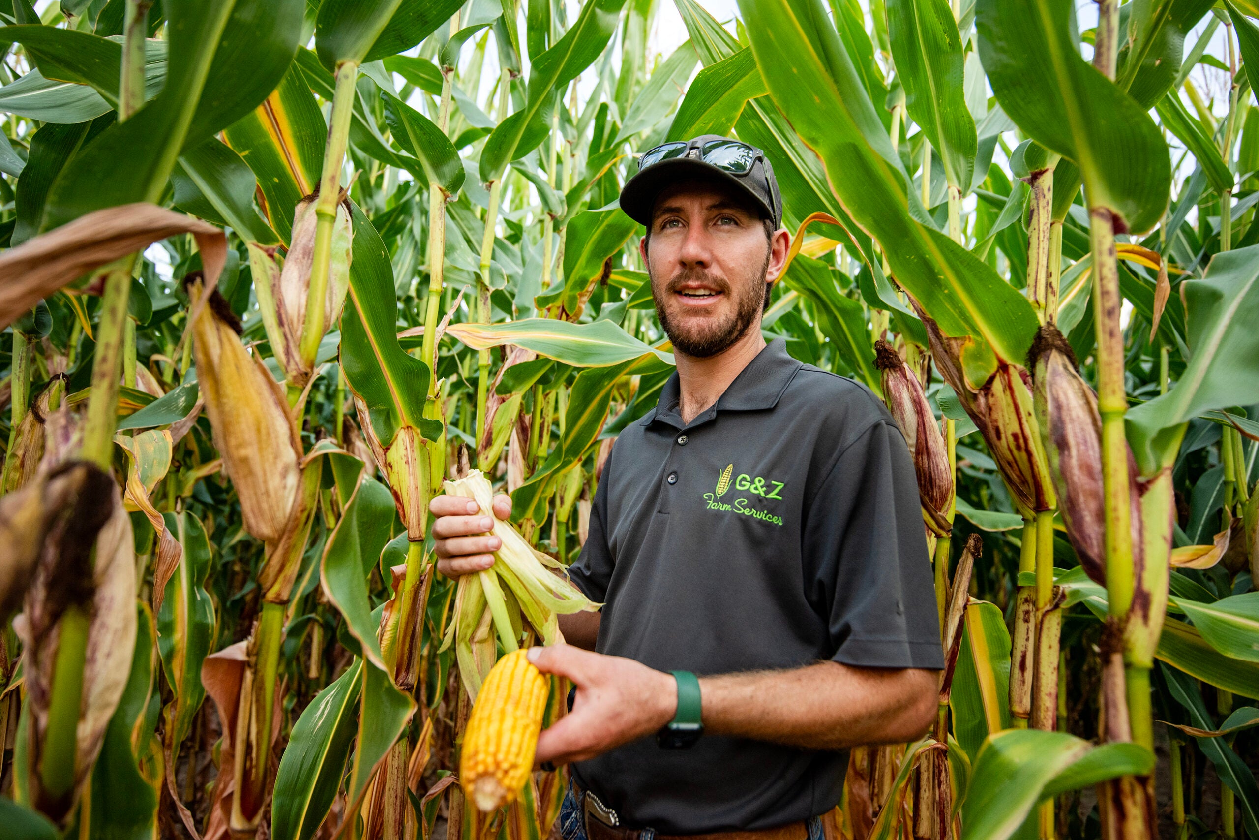 Crops look good across the Midwest and Great Plains. But farmers still face a tough economy.
