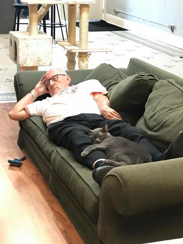 An older man is lying on a green couch with his eyes closed, resting his head on his hand. A gray cat is sleeping on his legs. A cat tree and a brush are visible nearby.