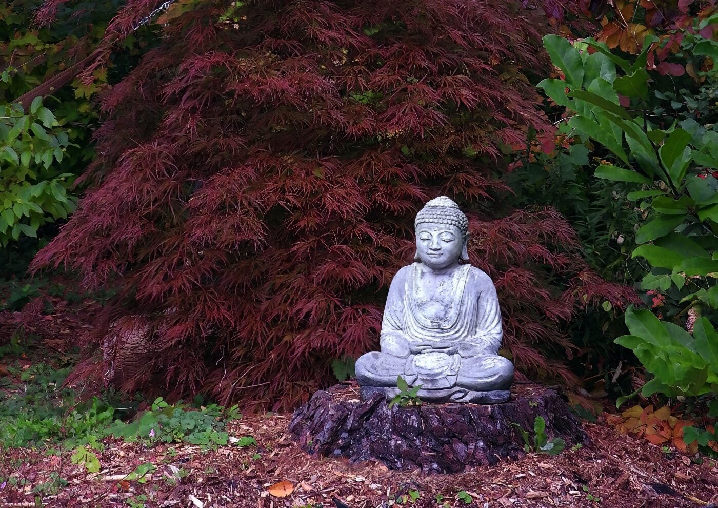 BIPOC Recovery Dharma: A meditation-based path toward healing