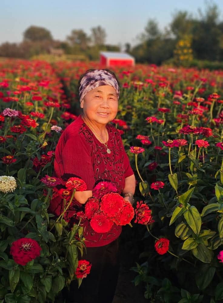 An older woman in a red shirt smiles while standing in a field of red flowers, holding a bouquet. Trees and a red structure are visible in the background.