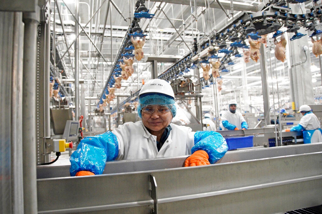 Worker in protective gear processes poultry on an automated production line in a food processing plant. Chicken carcasses hang on overhead conveyors in the background.