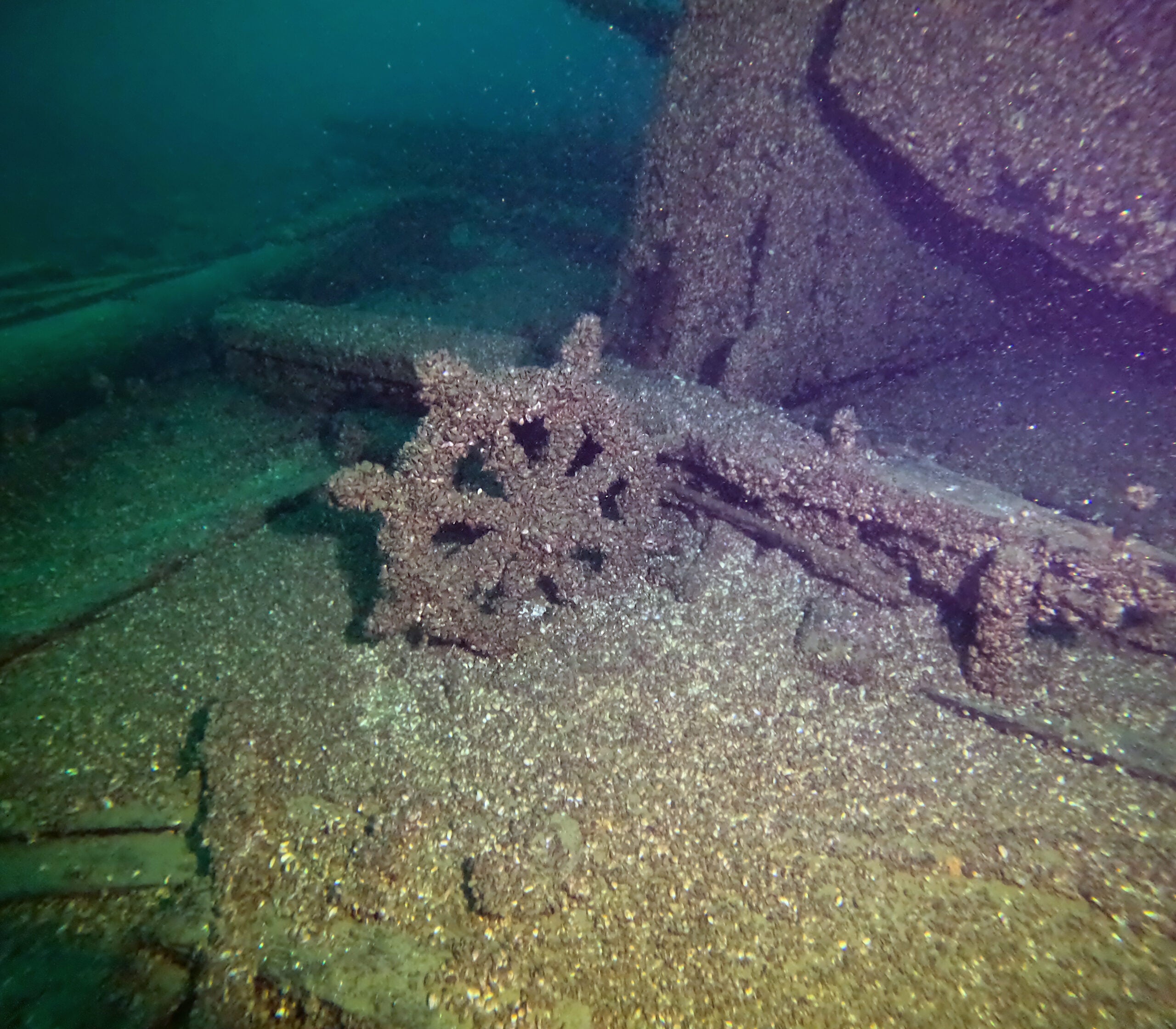 Citizen scientists discover wreck of Lake Michigan ‘ghost ship’