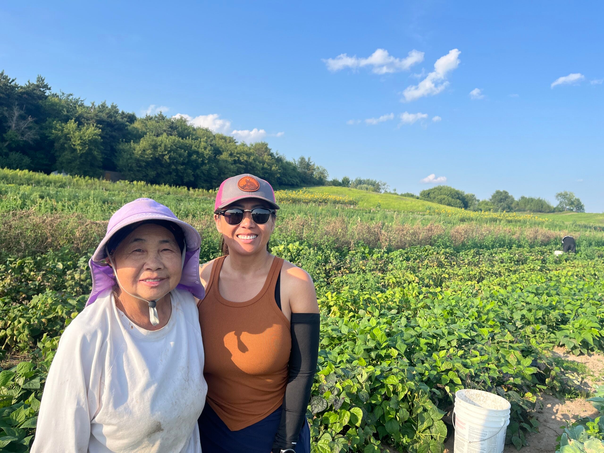 Hmong refugee family finally finds a piece of land to call their own in Wisconsin