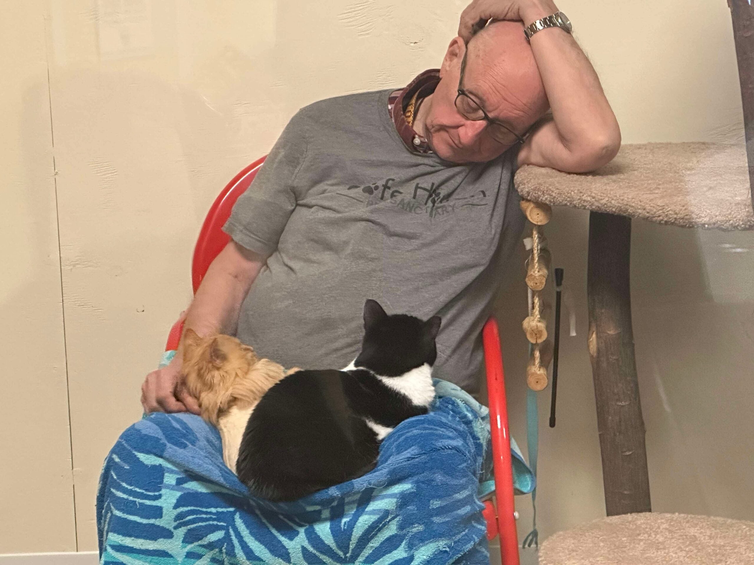 An elderly man naps in a chair with his arm resting on his head, while a small dog and a black-and-white cat lie on his lap under a blue blanket.