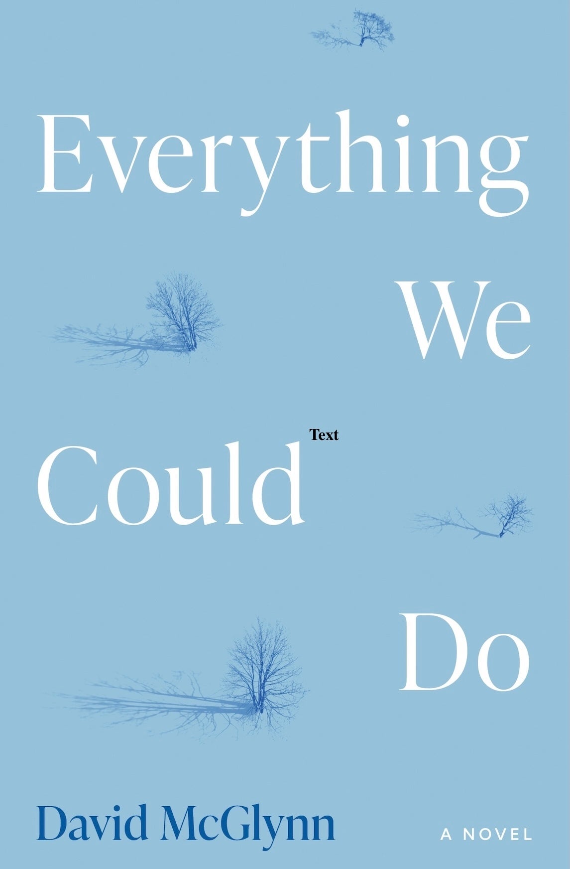 Book cover with the title Everything We Could Do: A Novel by David McGlynn, featuring blue trees on a light blue background.