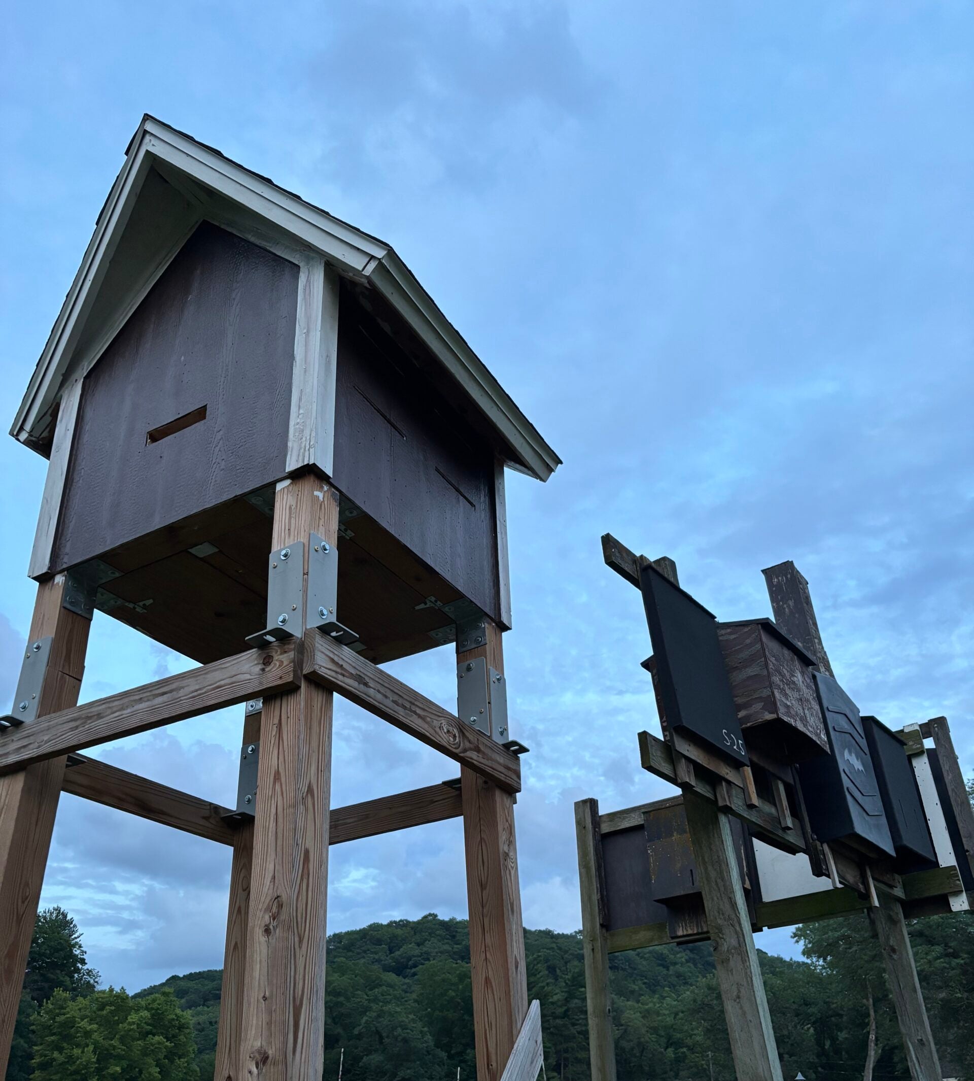 Two large wooden bat houses on tall posts stand in a park area with trees and people visible in the background under a cloudy sky.