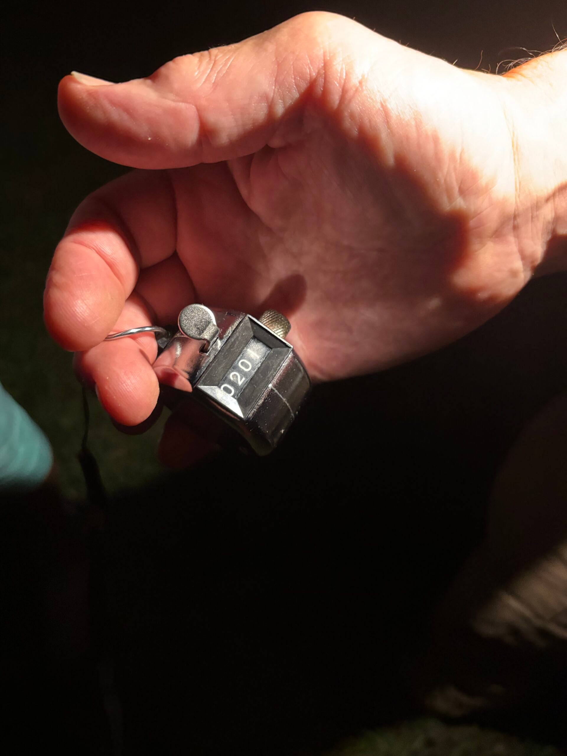 A close-up of a persons hand holding a small metal object labeled P201 on one side, with a wire attached to it.