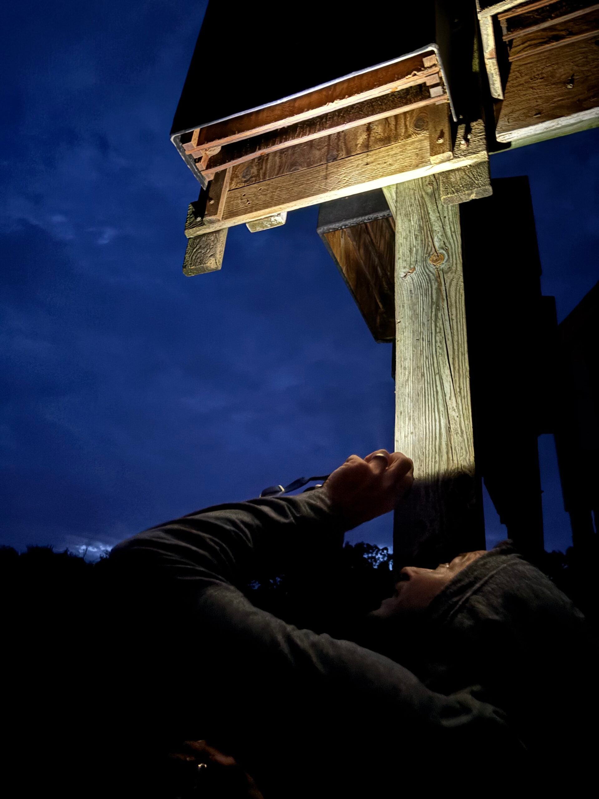 A person shines a flashlight at a wooden structure mounted on a post at night, with a dark sky in the background.