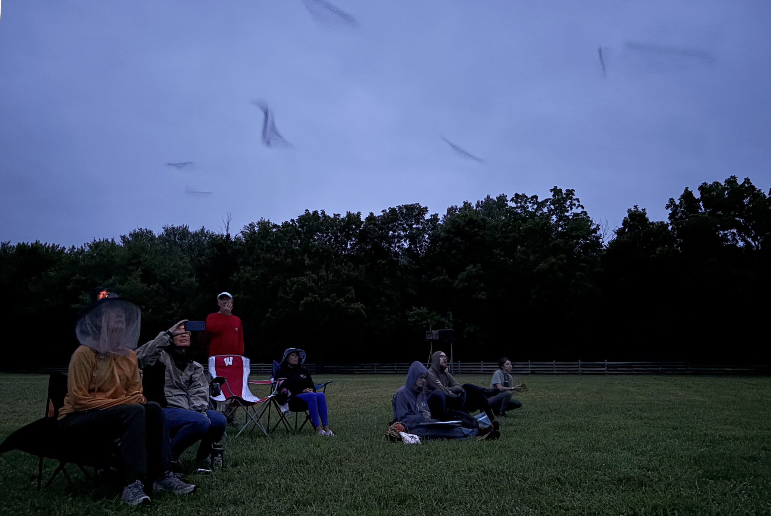 A group of people sit and stand on a grassy field at dusk, some wearing bug nets, with trees in the background and blurry insects visible in the sky.