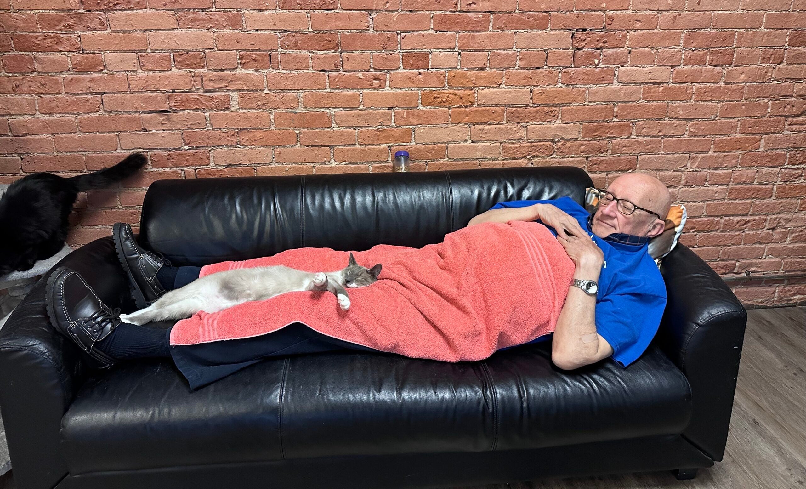 Wisconsin’s viral ‘Cat Napper’ is living every cat lover’s dream