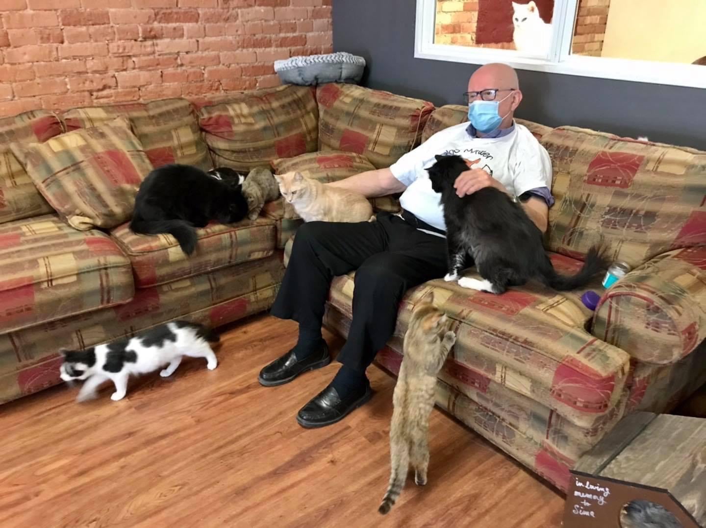 An older man wearing a face mask sits on a couch surrounded by several cats in a cozy room with brick walls and wooden floors.