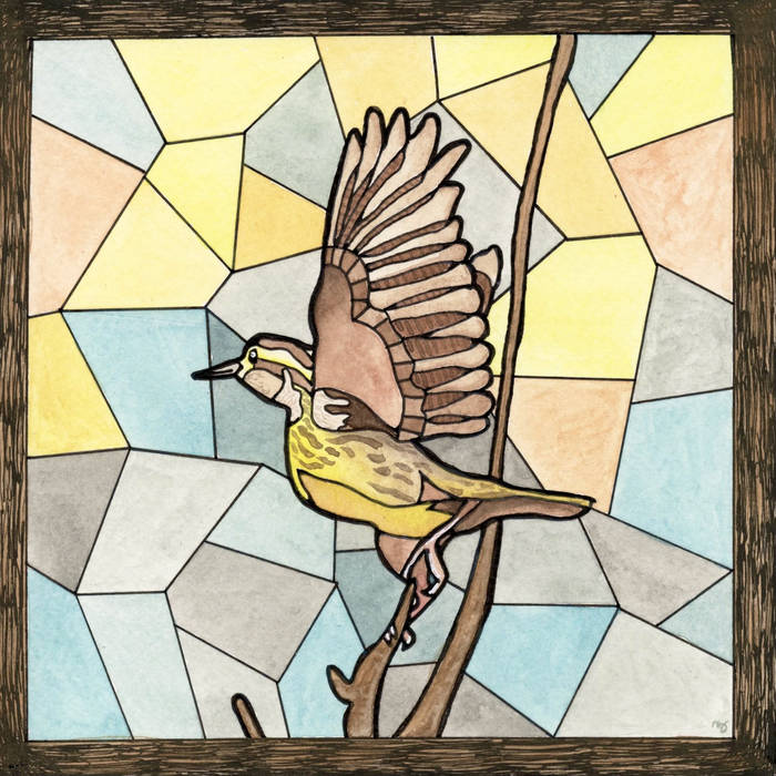 Madison indie band Quokka releases an ode to Wisconsin birds