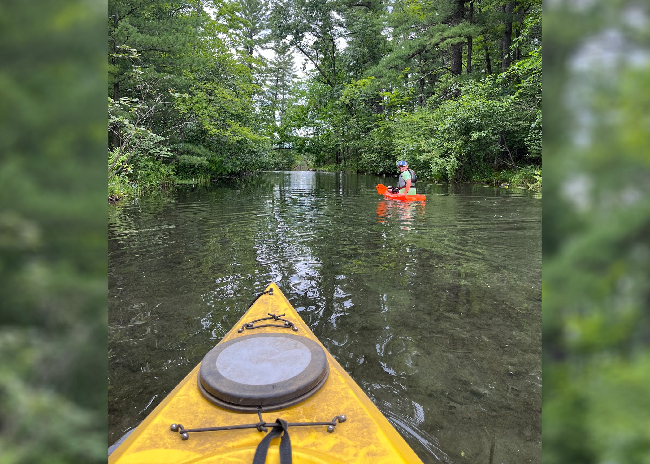 ‘Turtle Minute’: Raising a nature lover in Wisconsin