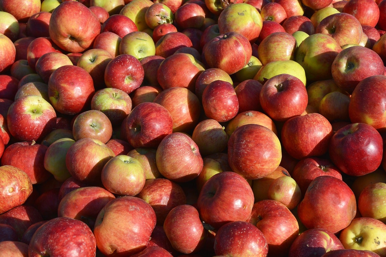 A large pile of red and yellow apples fills the frame, with natural sunlight highlighting their shiny skins.