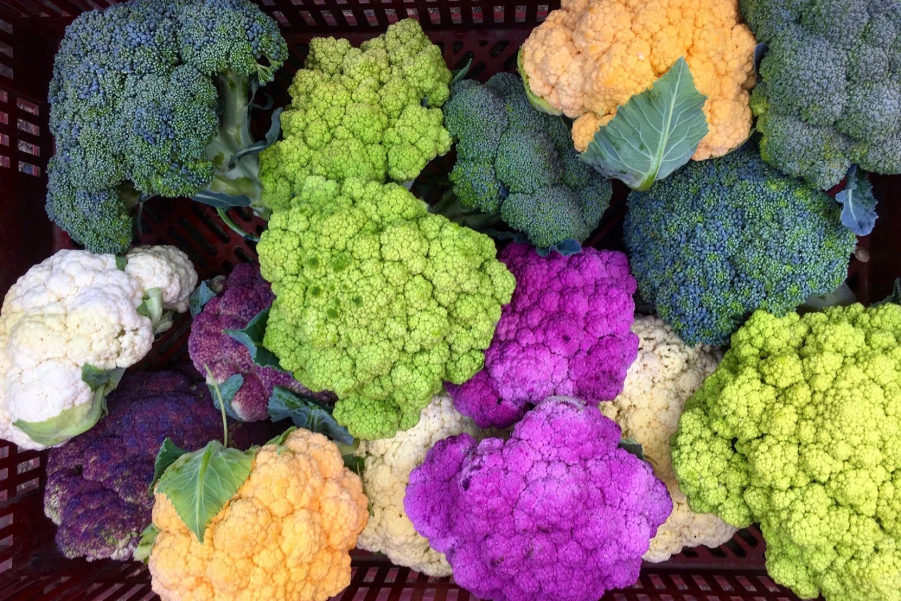 Assorted broccoli and cauliflower in green, purple, yellow, orange, and white colors arranged in a basket.