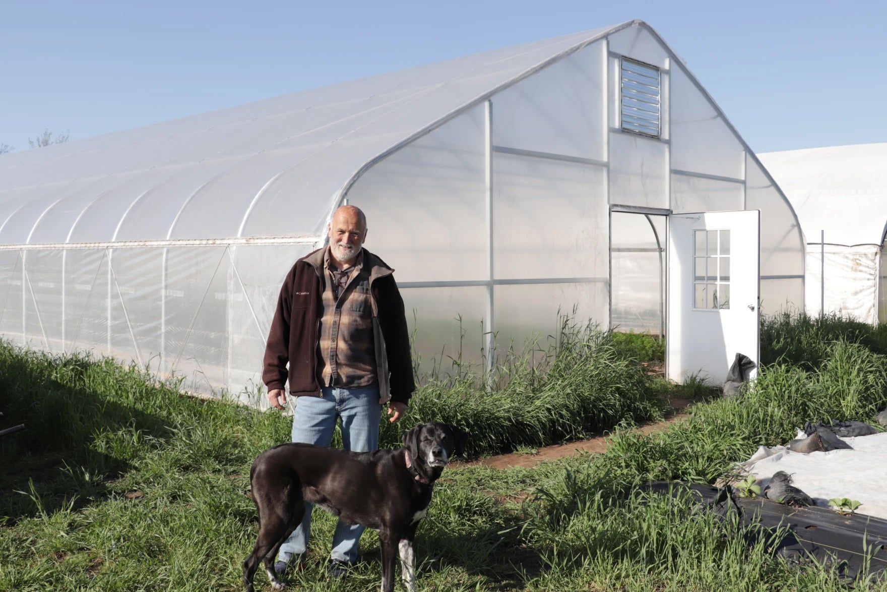 An older man stands outside a greenhouse on a grassy area, with a large black dog beside him and an open door visible in the greenhouse.