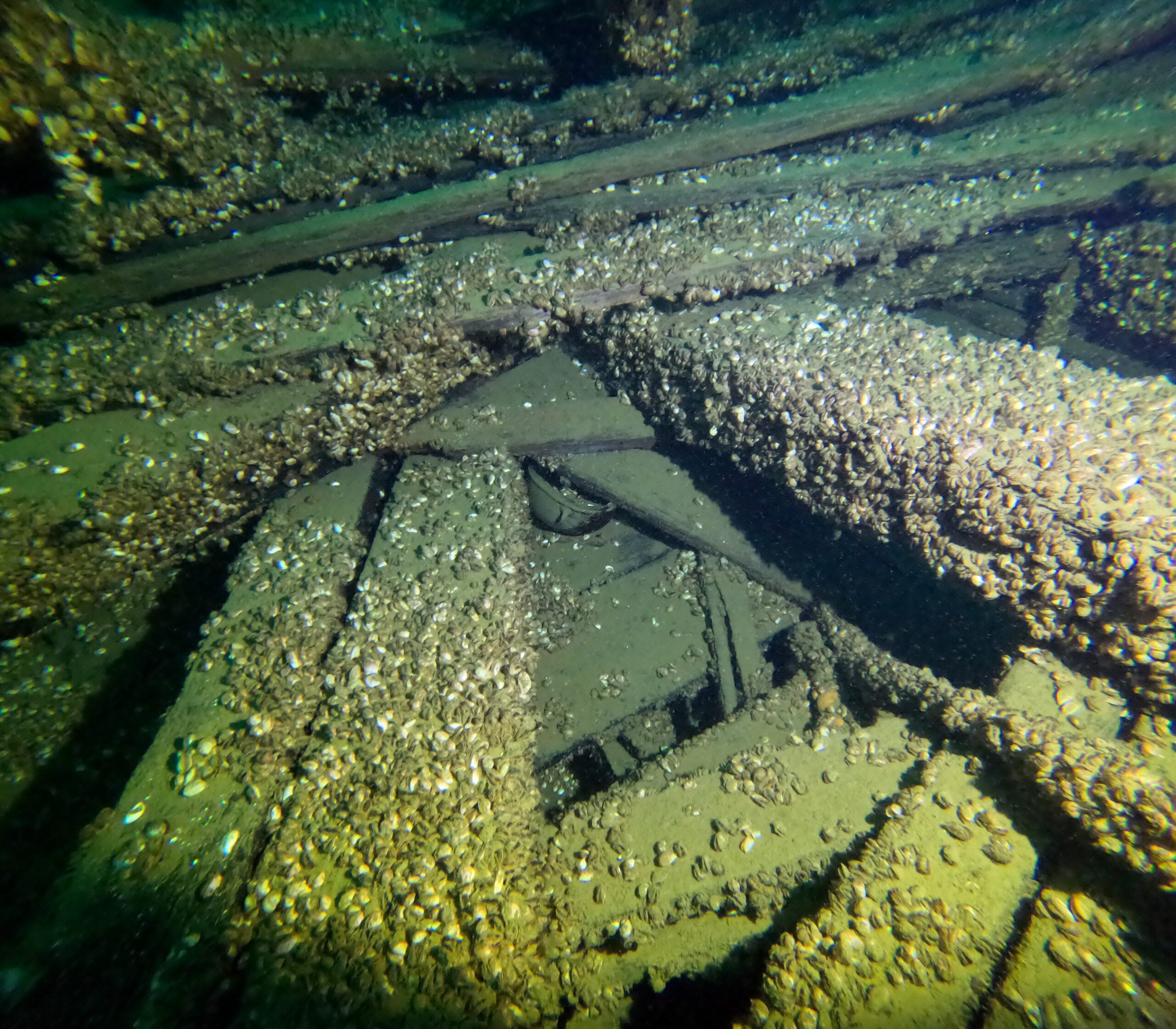 Underwater view of a sunken wooden structure covered with sediment and small aquatic organisms, possibly the remains of a shipwreck.