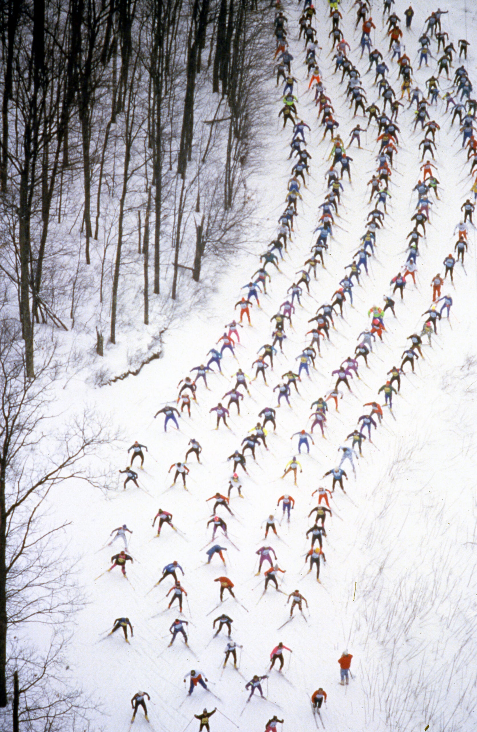 A large group of cross-country skiers, spread out in wide rows, moves uphill through a snowy, wooded landscape.