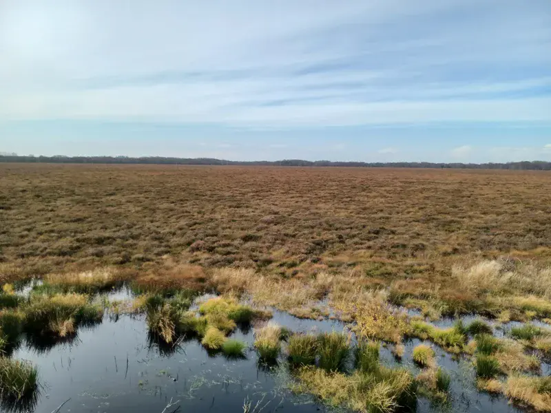 A flat expanse of marshland with patches of grass and water under a partly cloudy sky.