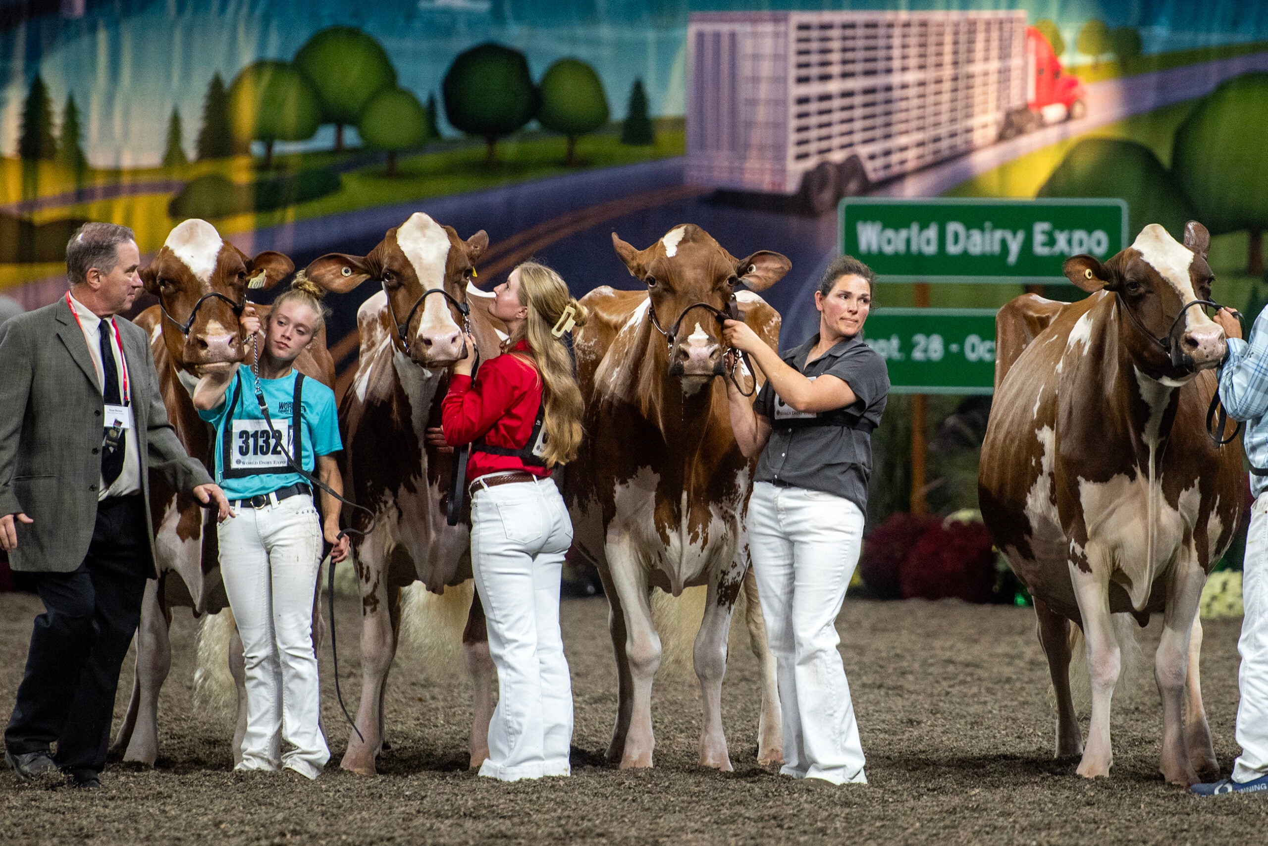 Four people present dairy cows in a show ring at the World Dairy Expo, with a judge on the left and a painted backdrop featuring a truck and a highway in the background.