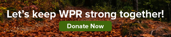 A forest path covered in autumn leaves with the text Lets keep WPR strong together! Donate Now on a green button.