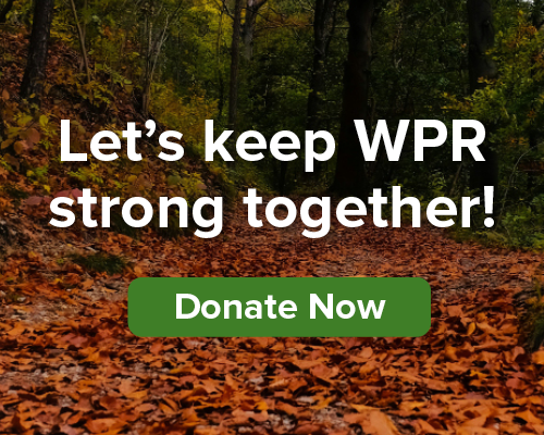 A forest path covered in autumn leaves with the text Lets keep WPR strong together! and a green Donate Now button.
