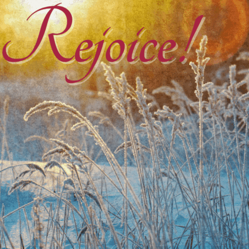 The word Rejoice! in large script appears over a frosty field of tall grass, with warm sunlight shining in the background.
