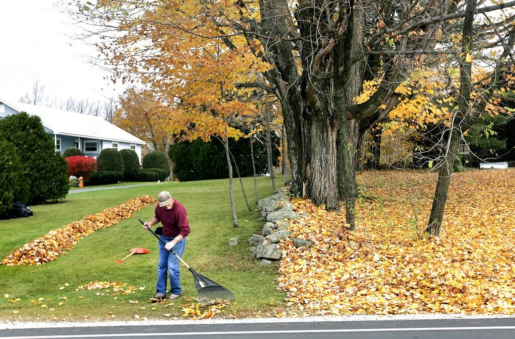 Tips for proper lawn care this fall, according to a Wisconsin turfgrass specialist