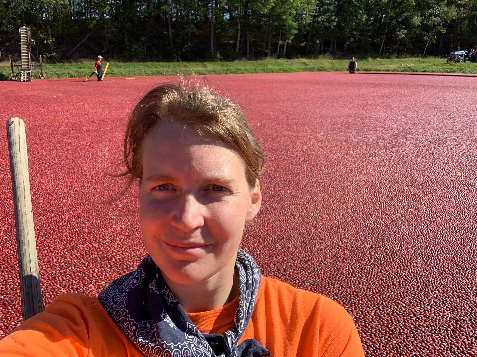 ‘My grandfather would be proud’: Carrying on a cranberry tradition in Wisconsin