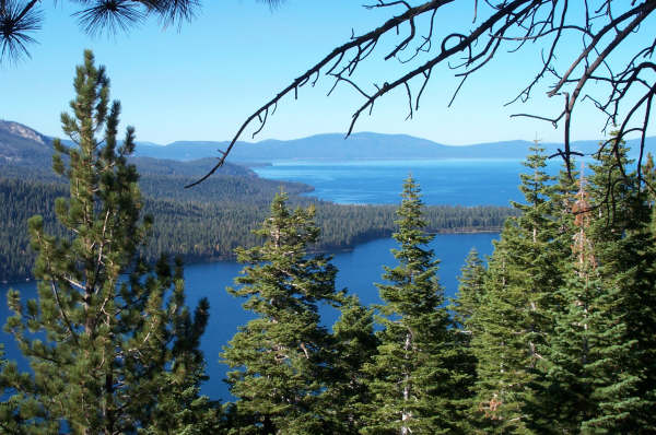 A view of a lake surrounded by dense evergreen trees with mountains in the background under a clear blue sky.