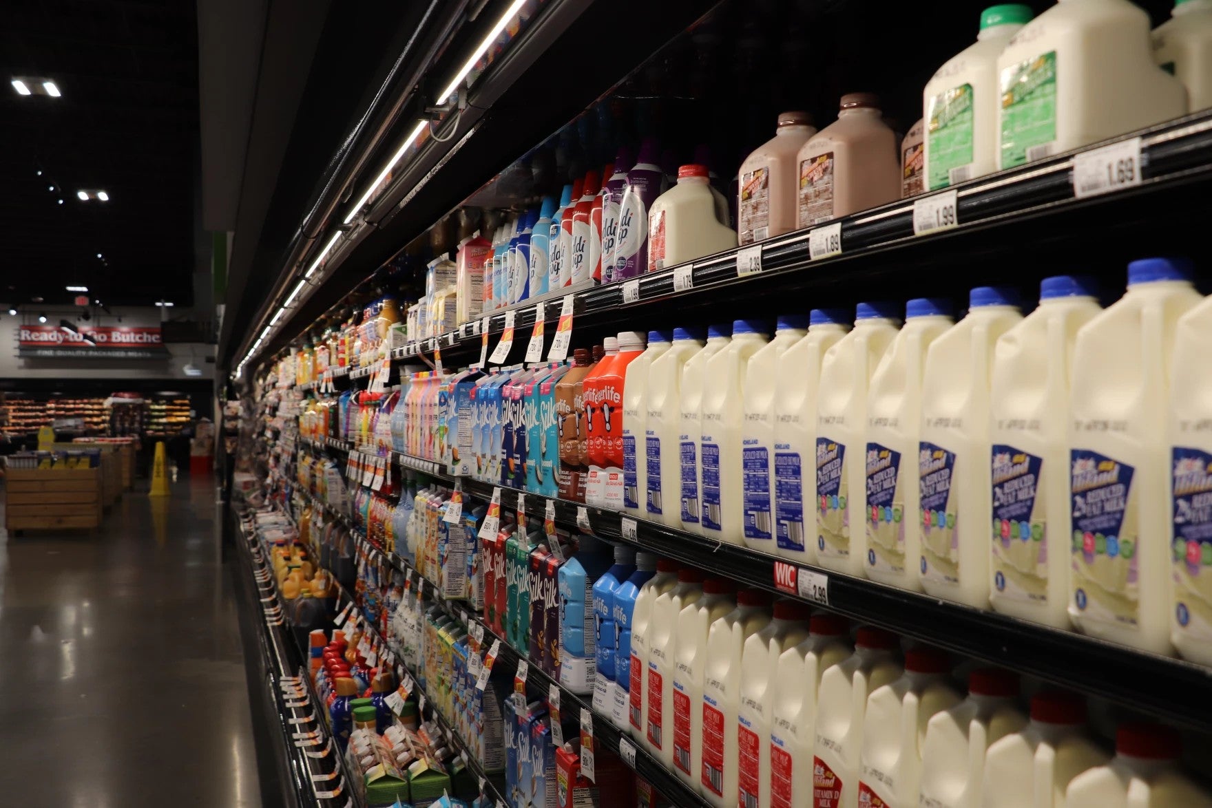 A grocery store aisle displays various milk and dairy products in plastic and carton containers on refrigerated shelves under bright lighting.