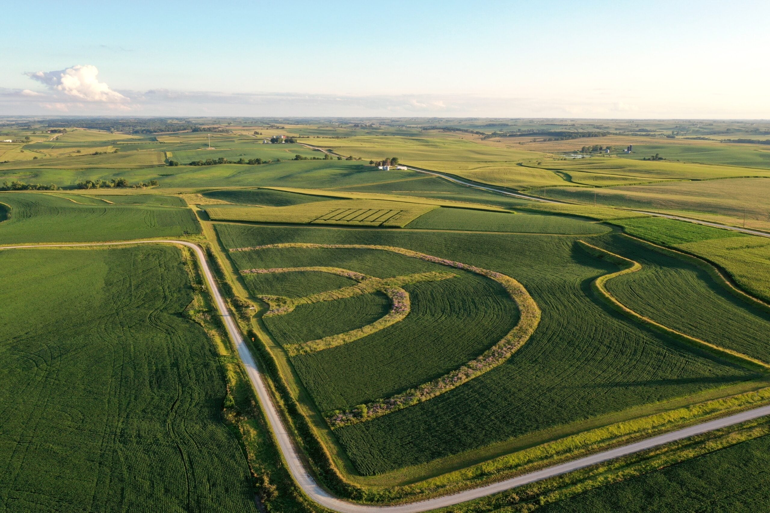 Prairie strips provide habitat and help save farmland
