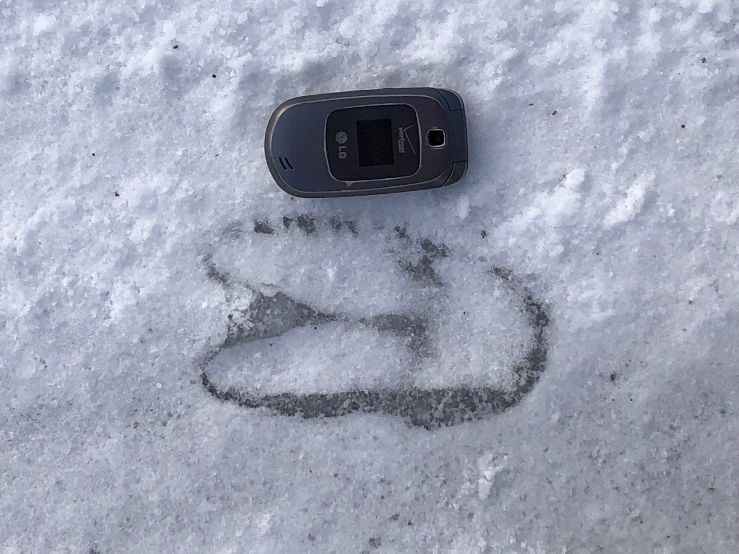 A large animal footprint in snow next to a closed flip phone, showing the size comparison.