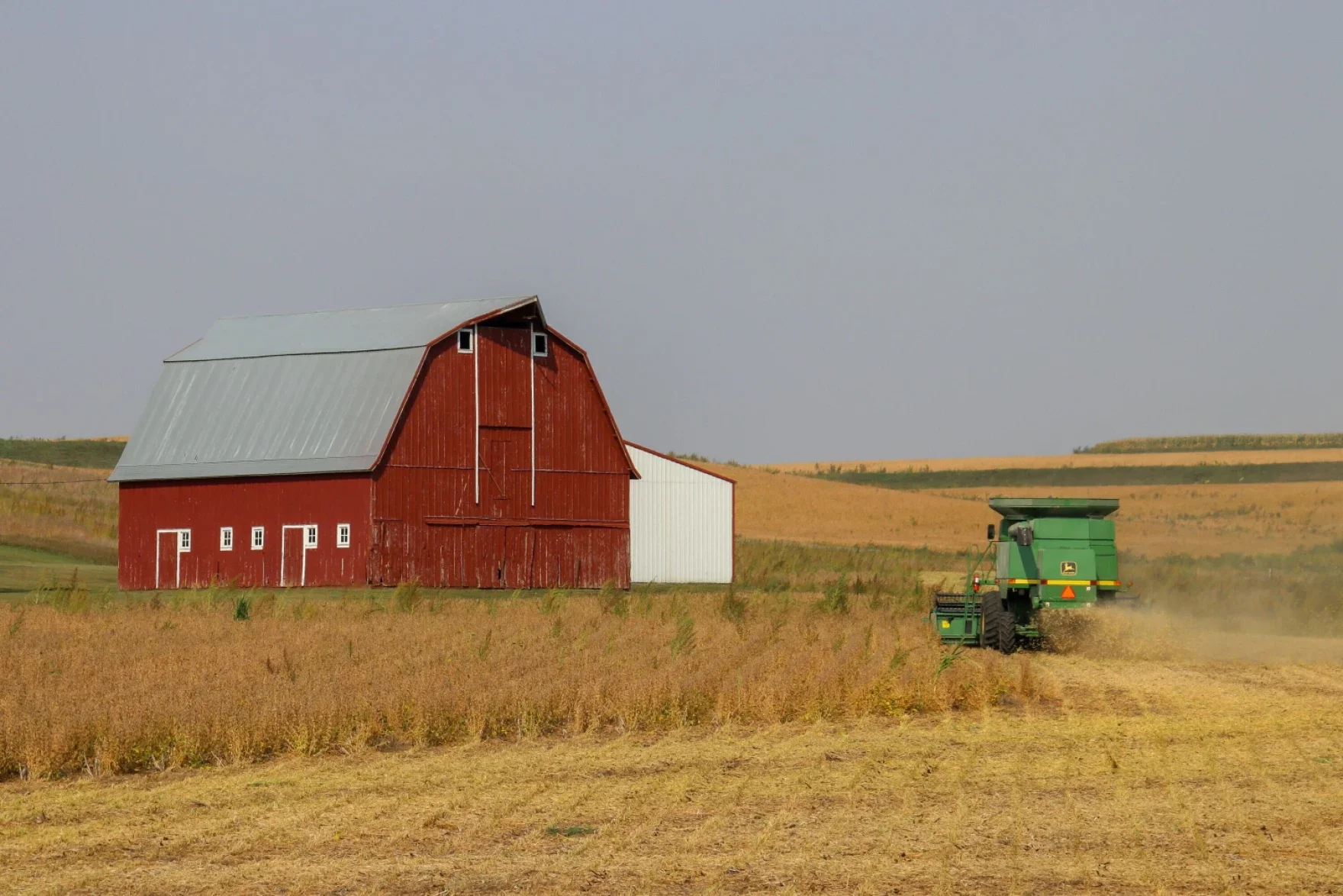 A red barn sits next to a white shed in a rural field while a green combine harvester works in the foreground under a clear sky.