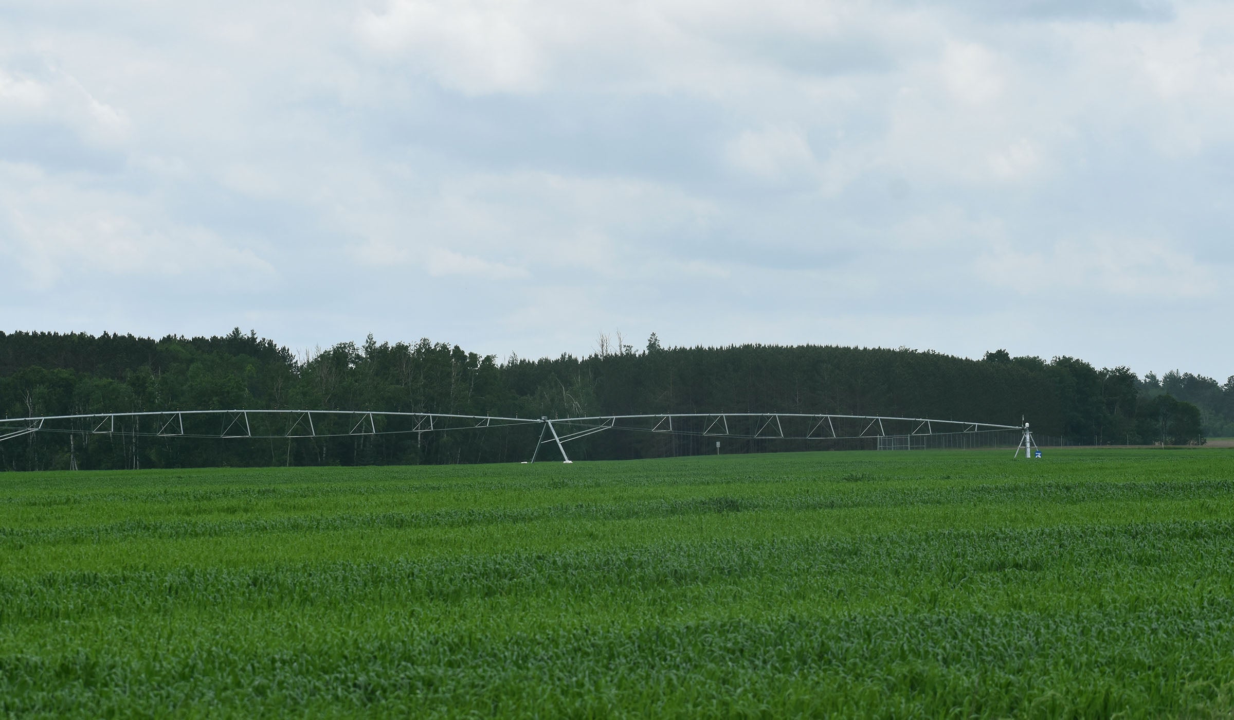 A large irrigation system waters a green field under a cloudy sky, with a line of trees in the background.