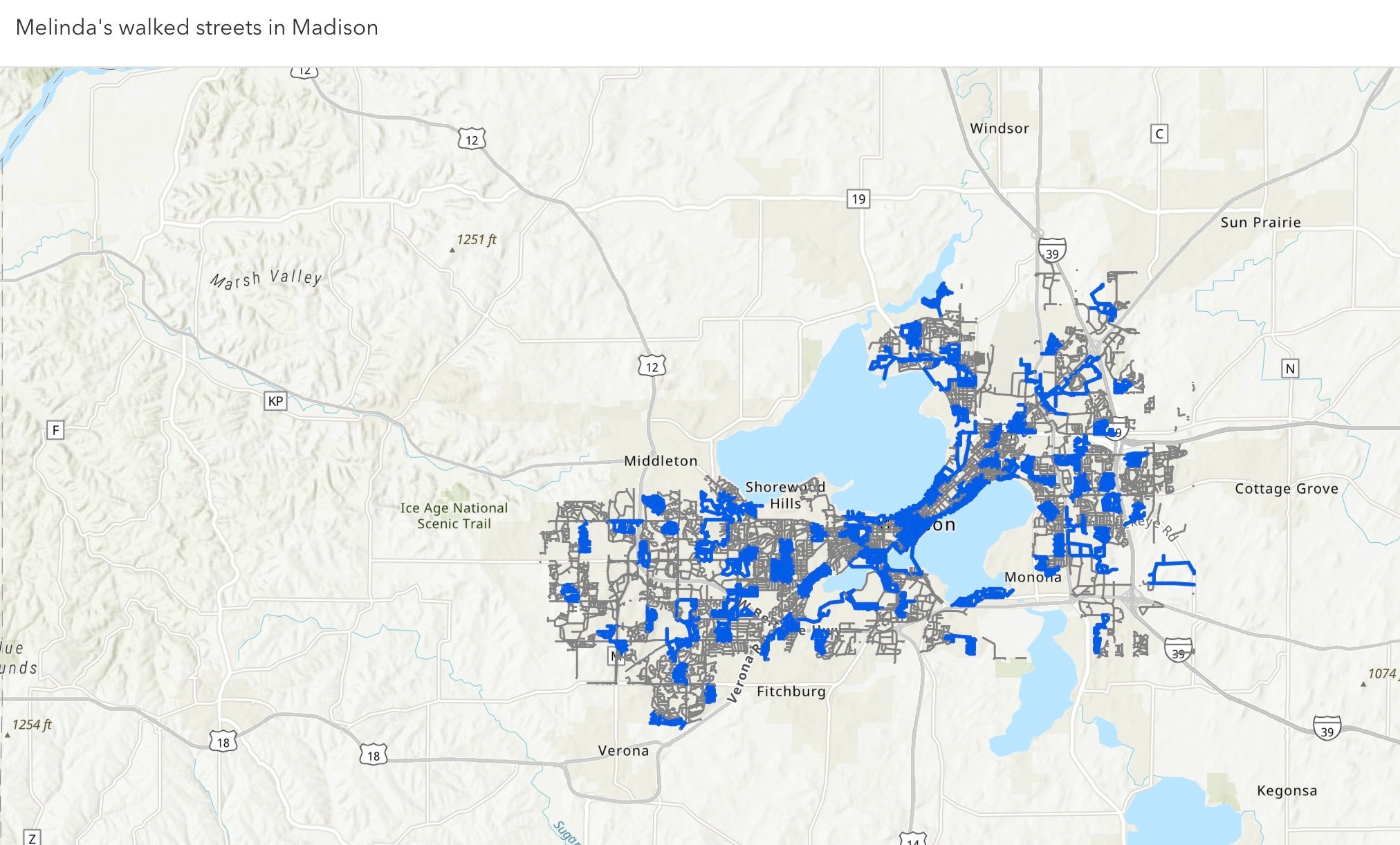 A map of Madison, Wisconsin, with numerous city streets highlighted in blue, indicating the routes walked by a person named Melinda.
