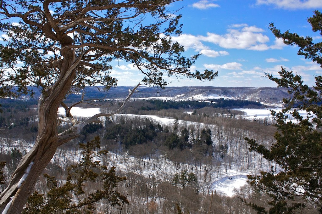 A leafless tree overlooks a snowy, forested valley with hills in the distance under a partly cloudy blue sky.