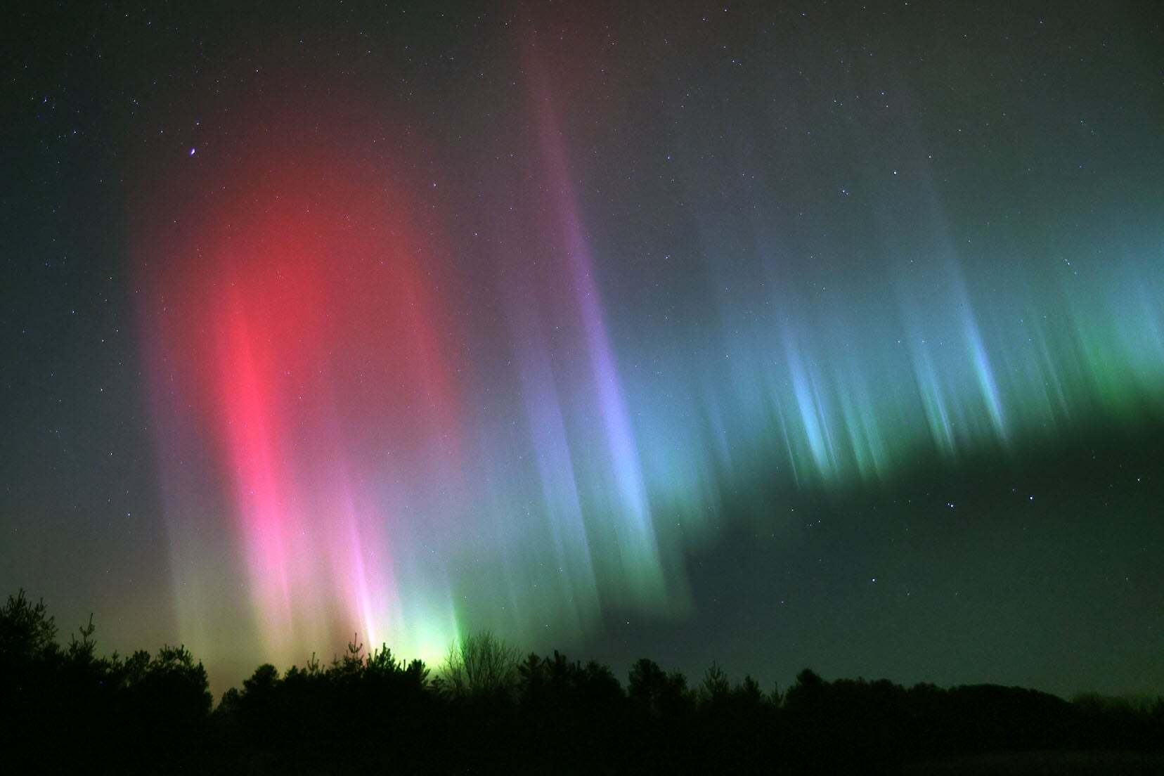 Red, green, and blue aurora lights stretch across a dark night sky above a silhouette of trees and a forested horizon.