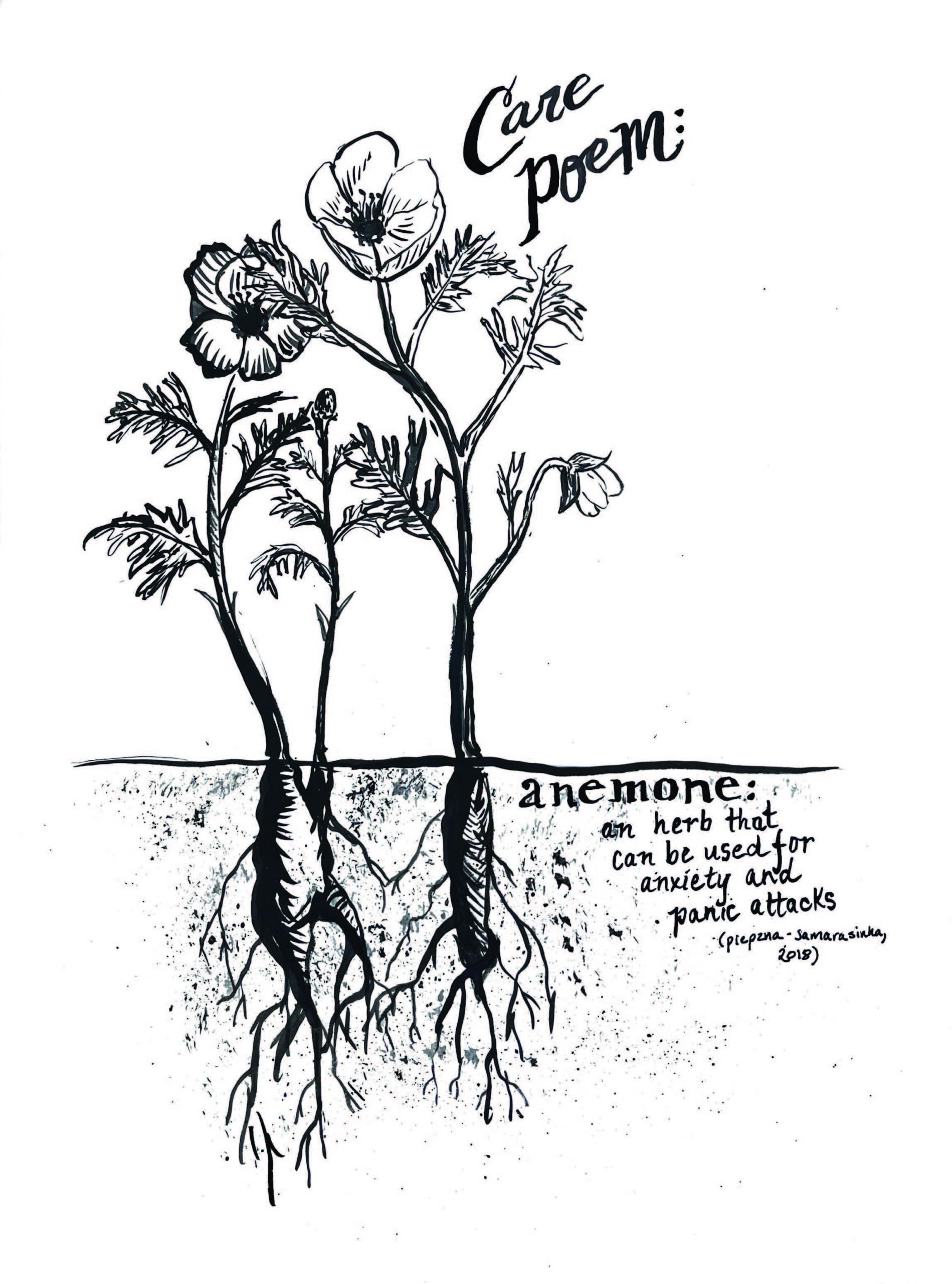 Black and white illustration of two anemone flowers with roots, labeled as useful for anxiety and panic attacks; handwritten text reads Care poem: anemone: an herb that can be used for anxiety and panic attacks.