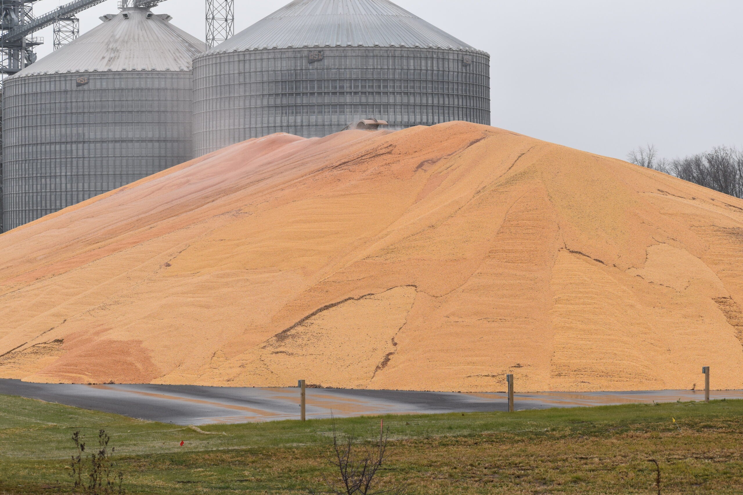 Wisconsin grain elevators are running out of room for this year’s corn crop