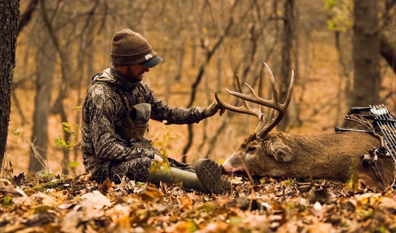 Person in camouflage clothing sits on forest floor, touching a large buck deer with antlers lying on the ground among autumn leaves.