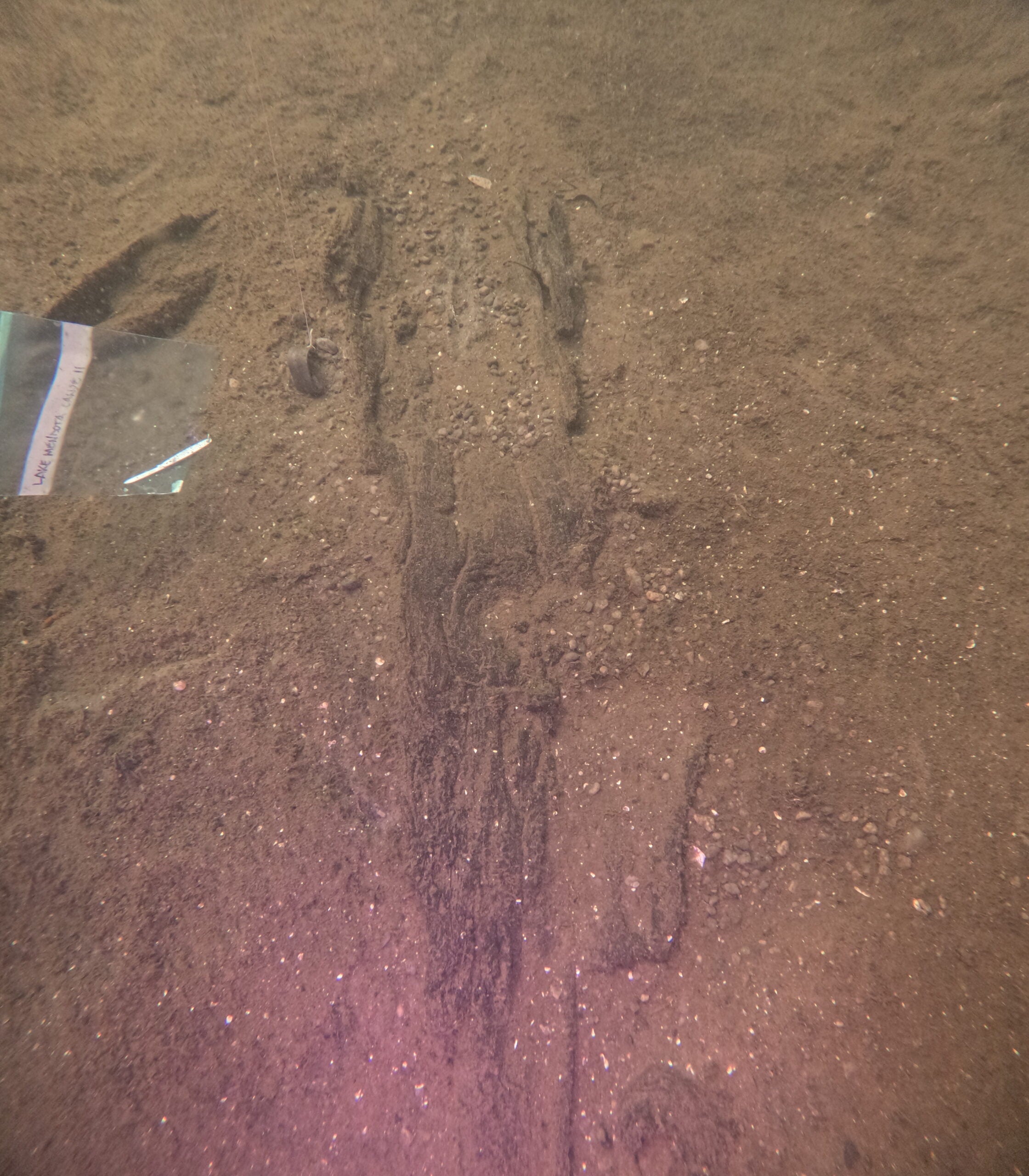 Even more ancient canoes have been found in Lake Mendota. One is more than 5,000 years old.