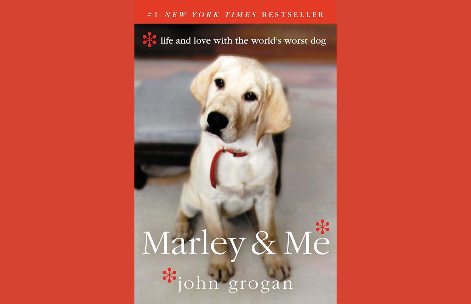 Marley & Me 10 of 15 – Clinically “Unstable”