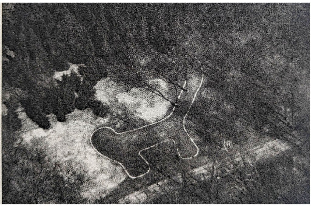 Aerial view of a winding path in a clearing, forming a shape that resembles an abstract animal or object, surrounded by trees.