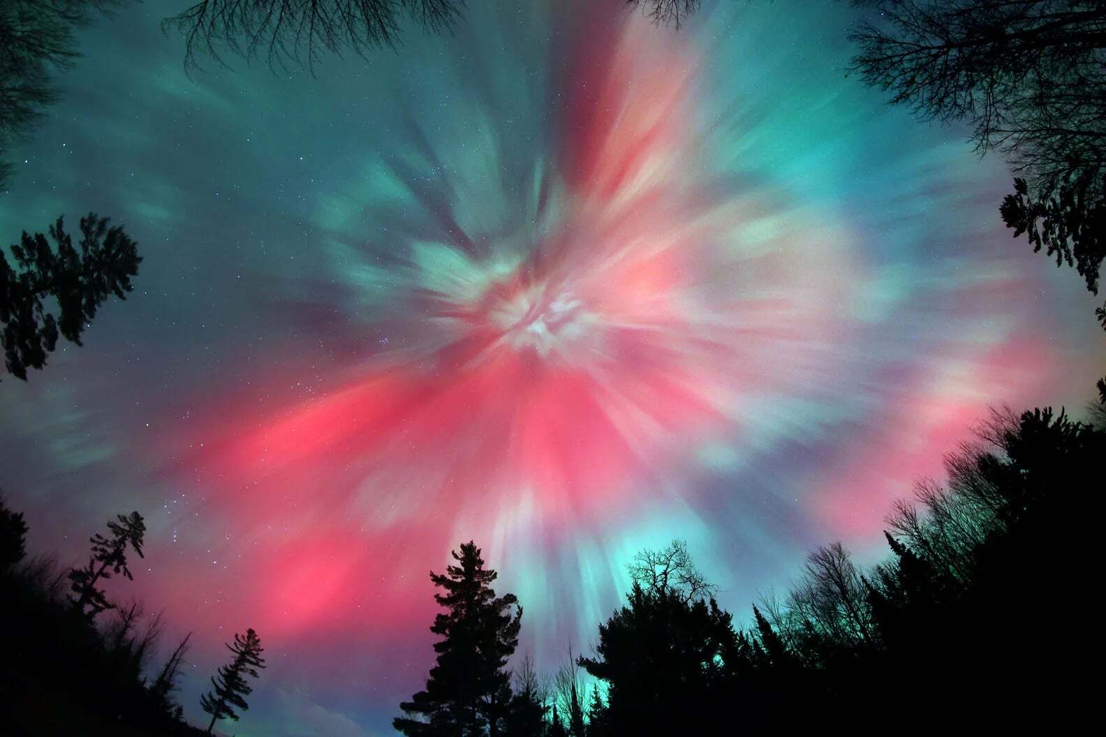 The northern lights display vibrant red, pink, and teal streaks across the night sky above silhouetted trees.