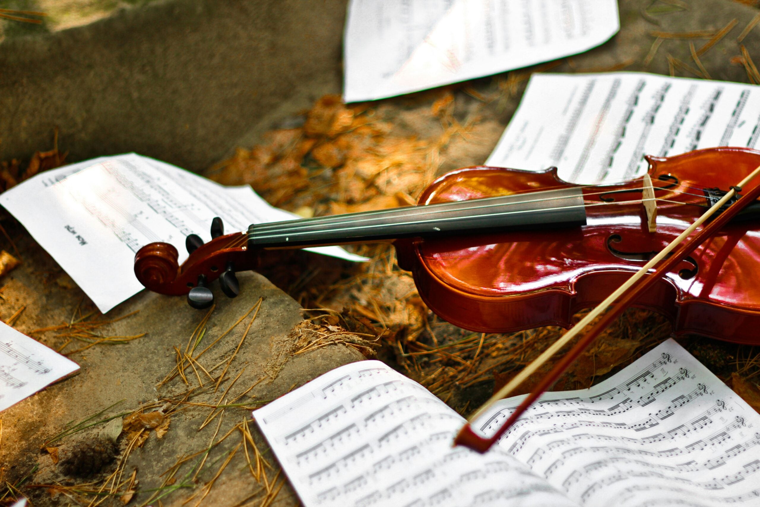 Autumn Delights and a Concert from Ranarim