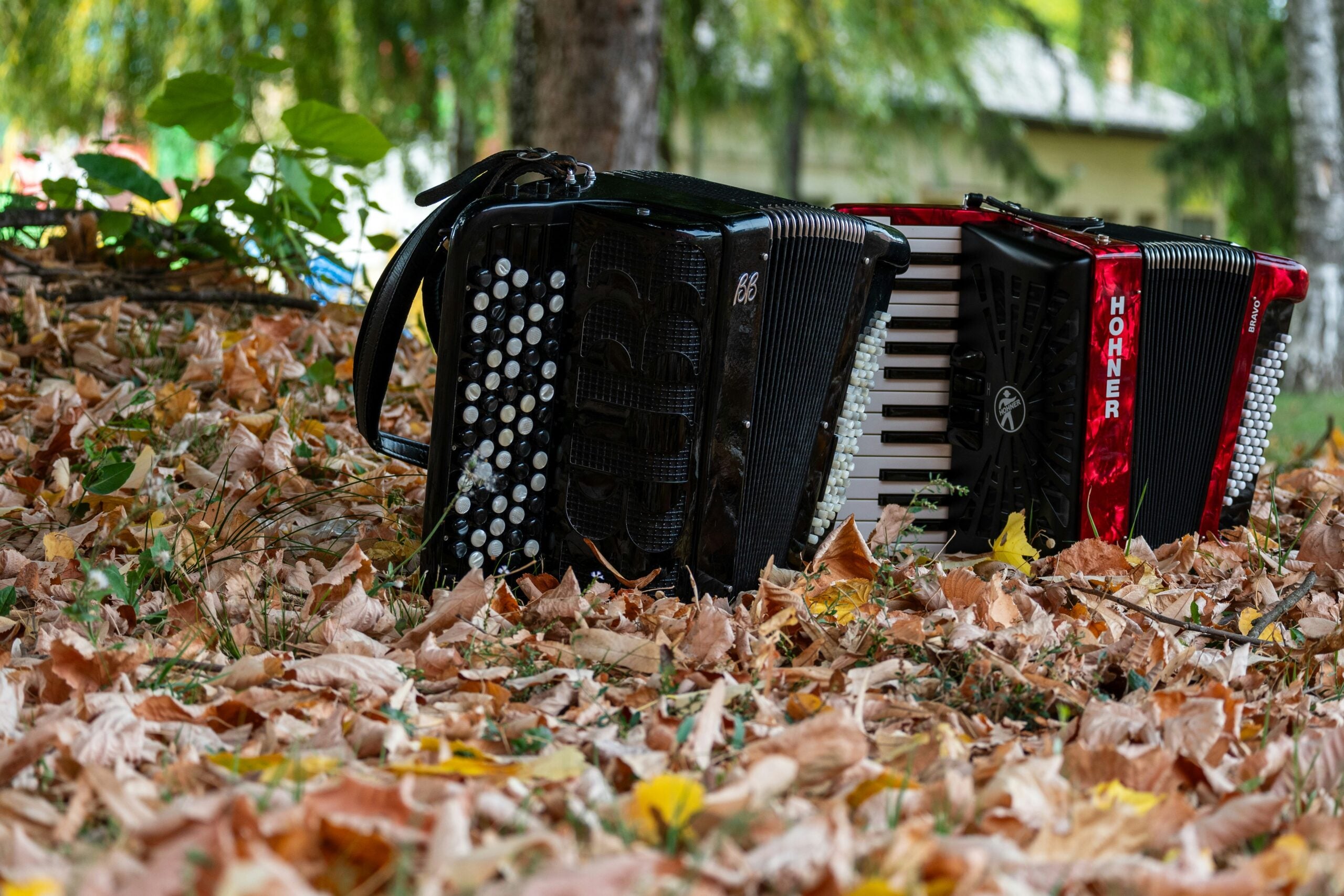November Tunes with Síle & Steve