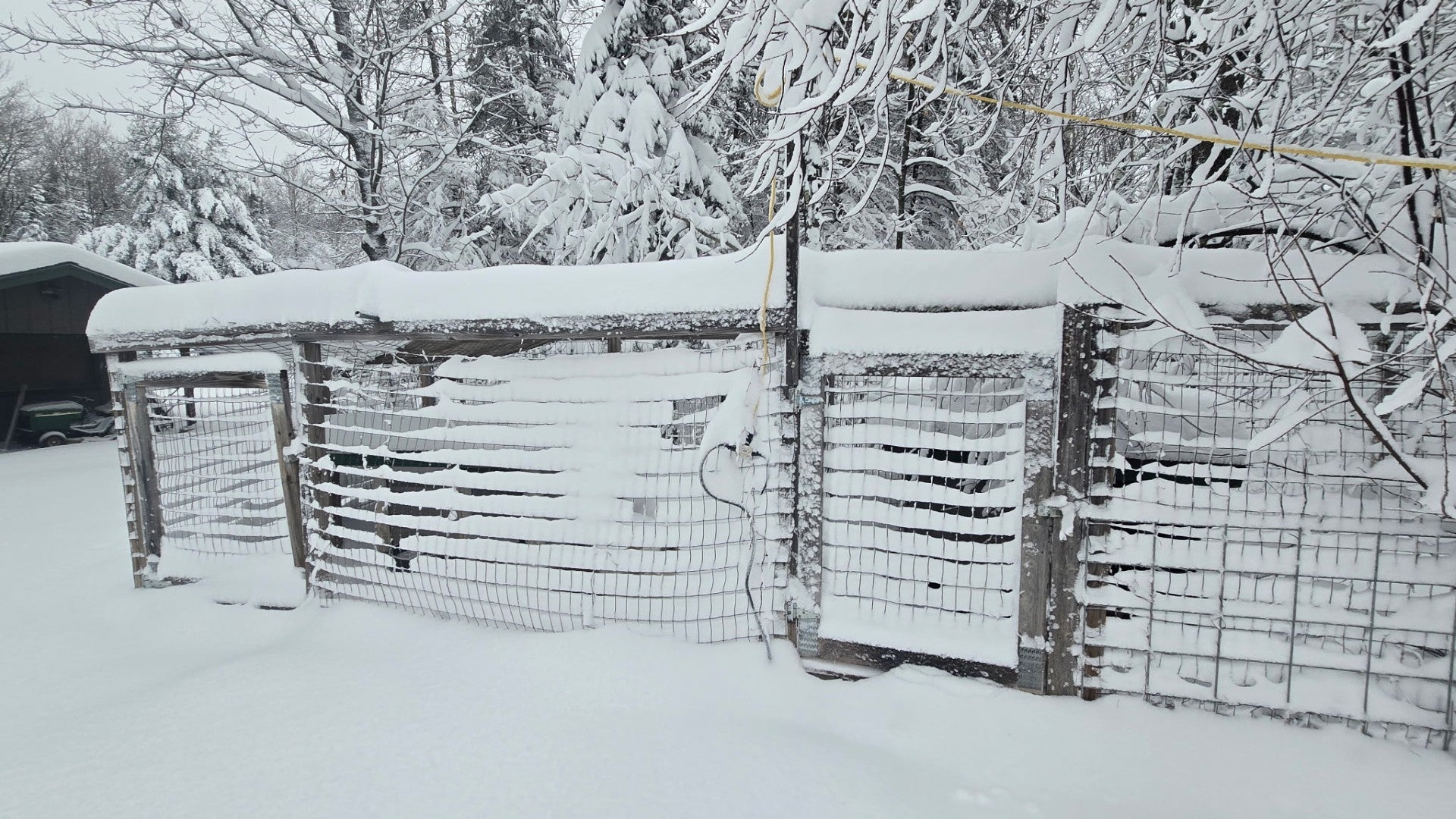 A wire fence and surrounding trees are covered in a thick layer of snow, indicating a recent or ongoing snowfall in a wooded area.